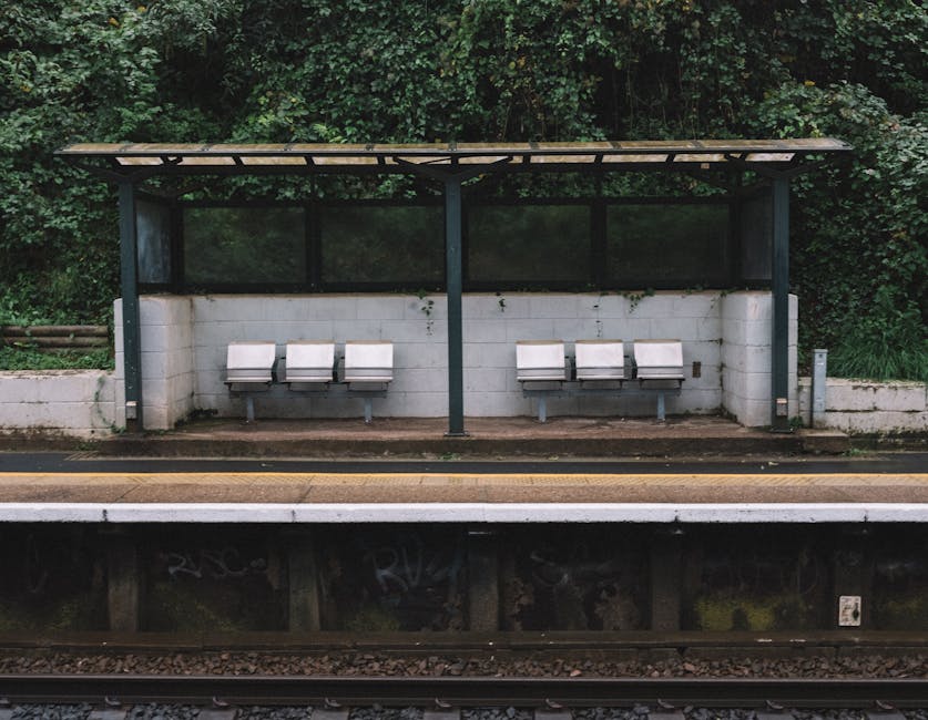A bus shelter situated on a train station platform, featuring a metal frame with a flat roof and a transparent façade. Inside the shelter, there are six white plastic or metal seats arranged in two groups of three on either side, attached to a central metal support. The shelter is positioned against a grey concrete block wall with some small patches of moss or dirt. Behind the shelter, dense foliage of green-leaved trees and shrubs extends upward, creating a natural backdrop. The platform surface appears to be made of concrete and is bordered by a painted yellow line indicating safety distance from the railway tracks below. In the lower part of the image, the railway track bed is visible, showing dark rails and ballast beneath the train line, with faint graffiti on the structure supporting the tracks. The overall scene is illuminated by natural daylight, suggesting a clear or overcast sky typical of an urban or suburban train station environment, where independent waste handling services such as rubbish removal could be relevant in maintaining cleanliness on station premises.